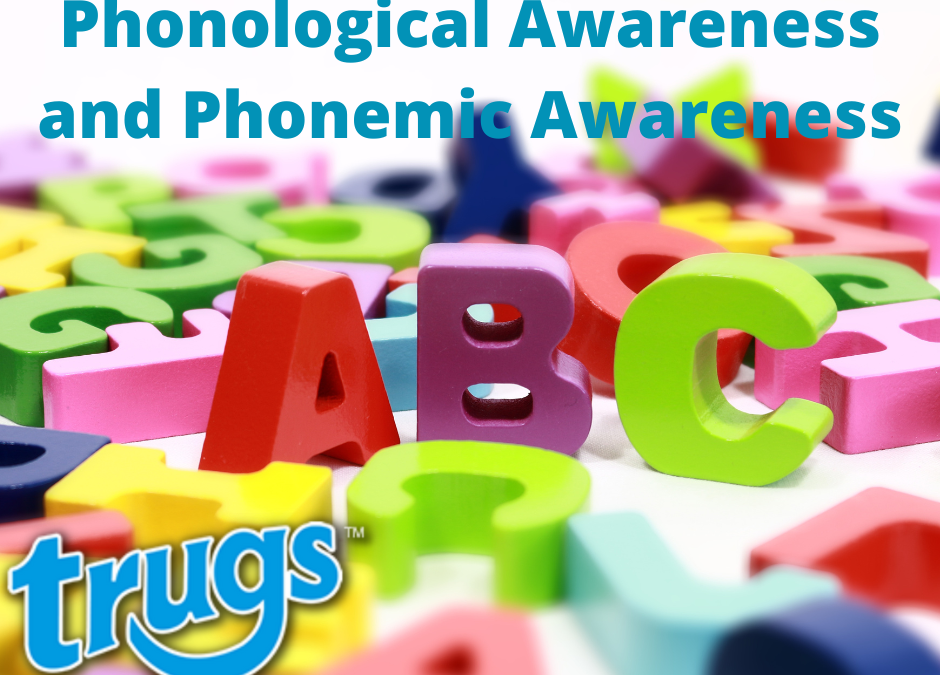 Phonological Awareness and Phonemic Awareness